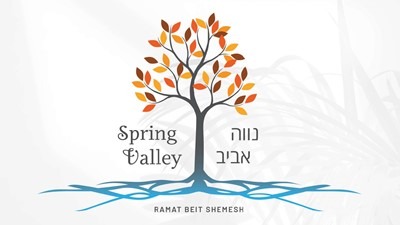 Spring Valley Neve Shamir Logo